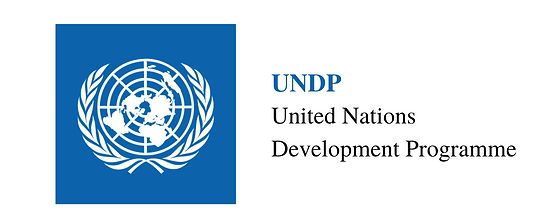 UNDP